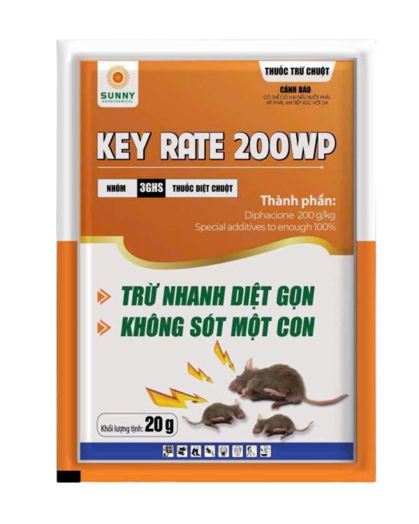 KEY RATE 200WP